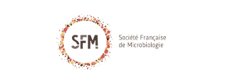 SFM